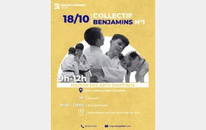 Stage départemental benjamins