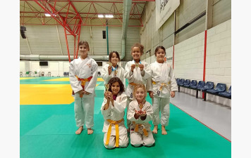 Compétition poussins