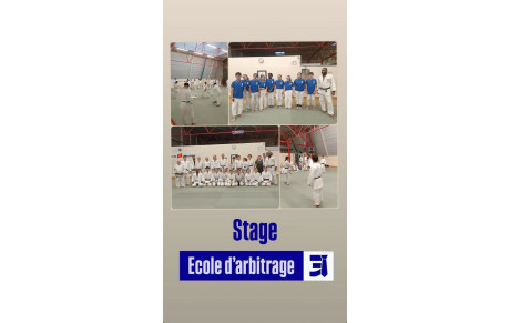 Stage école d'arbitrage